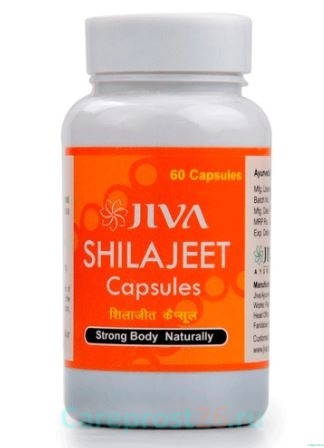 Шиладжит Джива / Shilajeet Jiva 60 кап