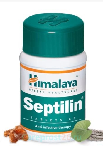 Септилин (Septilin) природный антибиотик. 60 таб.