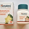 Gokshura (гокшура) при заболеваниях мочевыводящих путей, 60 таб.